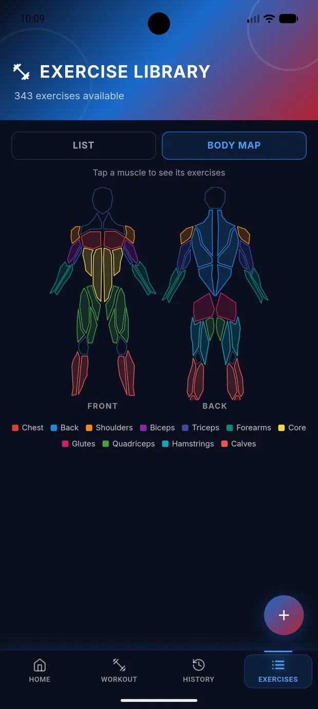 RepThemes anatomical body map showing trained muscle groups